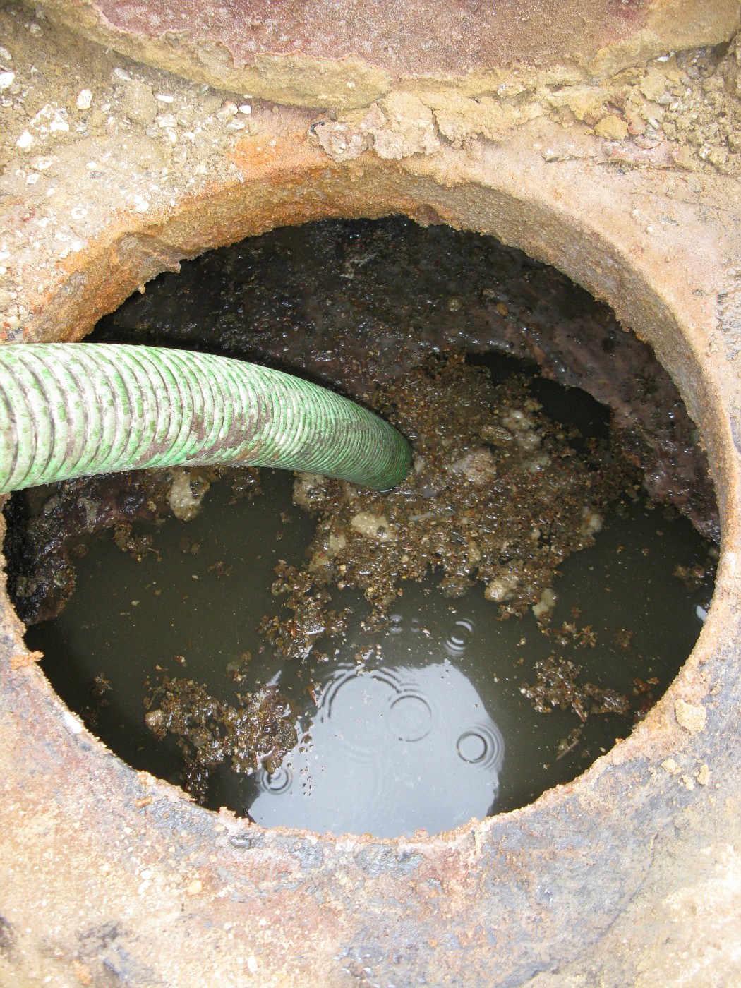 Image result for dirty full septic tank